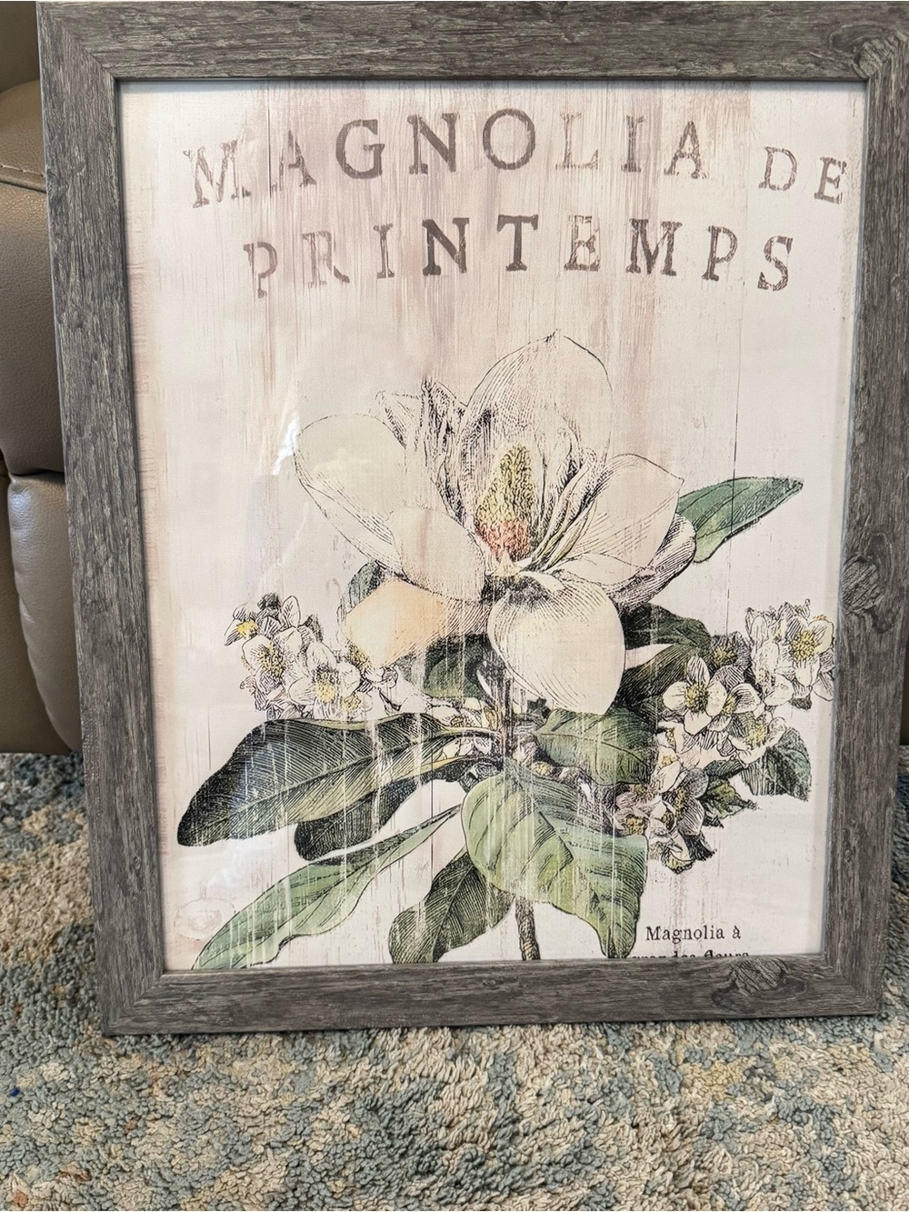 Floral Magnolia Wall Art Print in White and Green - Framed